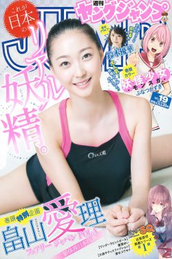 卧虎 电视剧
